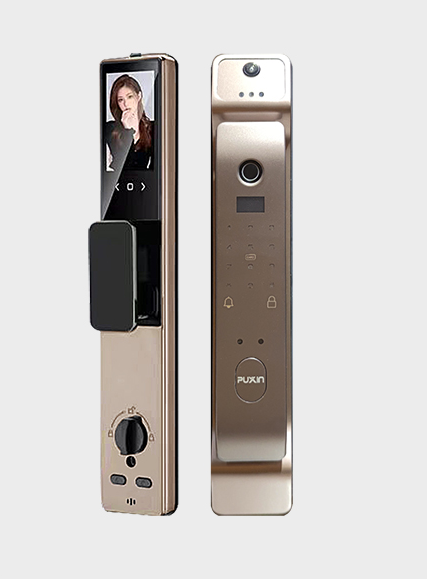 FL-101人臉識(shí)別智能指紋鎖 (摩卡金)